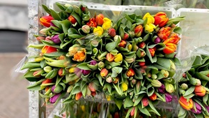 Bloemen